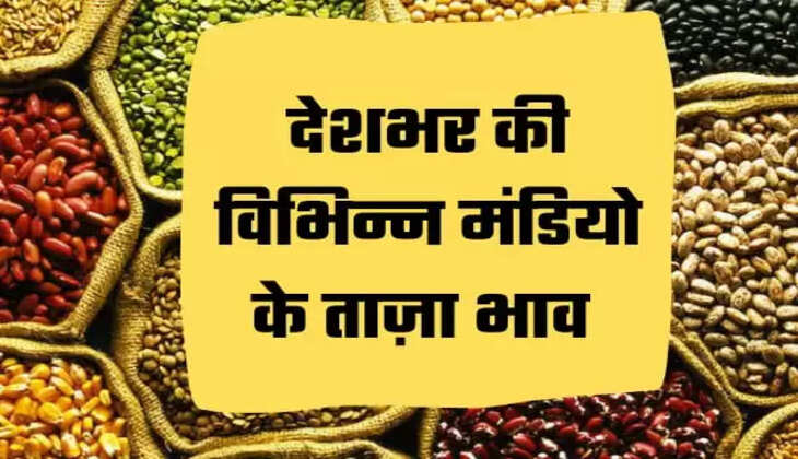 Mandi Bhav मंडी भाव 