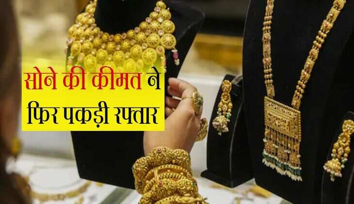 Gold Rate: सोने की कीमत ने फिर पकड़ी रफ्तार, हाई पर पहुंचा 10 बड़े शहरों दाम 