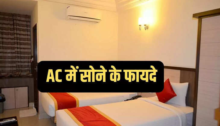 Mustard Rate: सरसों के भाव में बन रही अब लगातार तेजी, Sarso Ka Taja Bhav