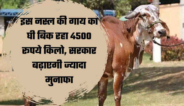 Gir Cow Benefits