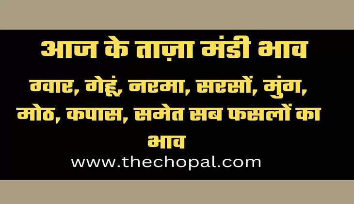 Mandi Bhav Thechopal