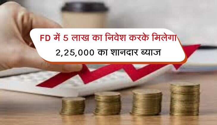 FD पर मिल रहा सबसे शानदार ब्याज, 5 लाख का निवेश करके मिलेगा 2,25,000 का ब्याज