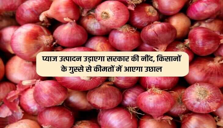 प्याज उत्पादन उड़ाएगा सरकार की नींद, किसानों के गुस्से से कीमतों में आएगा उछाल