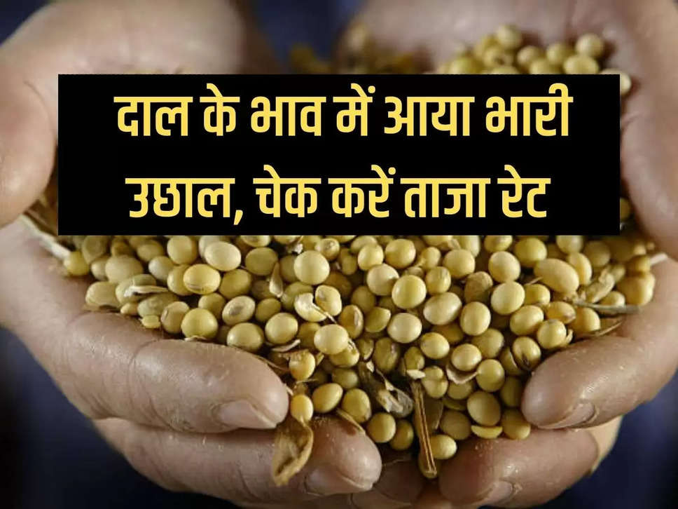 There is a huge jump in the price of pulses, check the latest rates