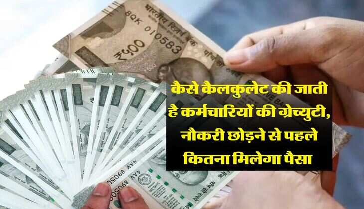 Gratuity Rule : कैसे कैलकुलेट की जाती है कर्मचारियों की ग्रेच्युटी, नौकरी छोड़ने से पहले कितना मिलेगा पैसा 