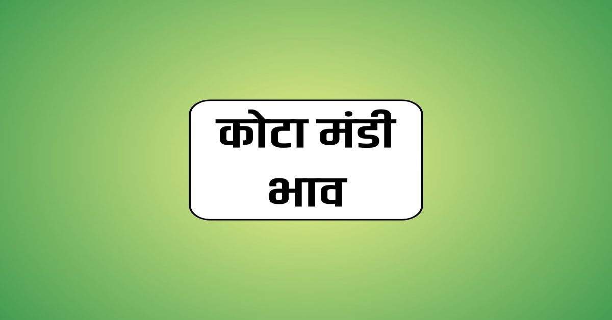 Kota Mandi Bhav : धान और धनिया के भाव में आया भारी उछाल, देखें आज के ताजा रेट