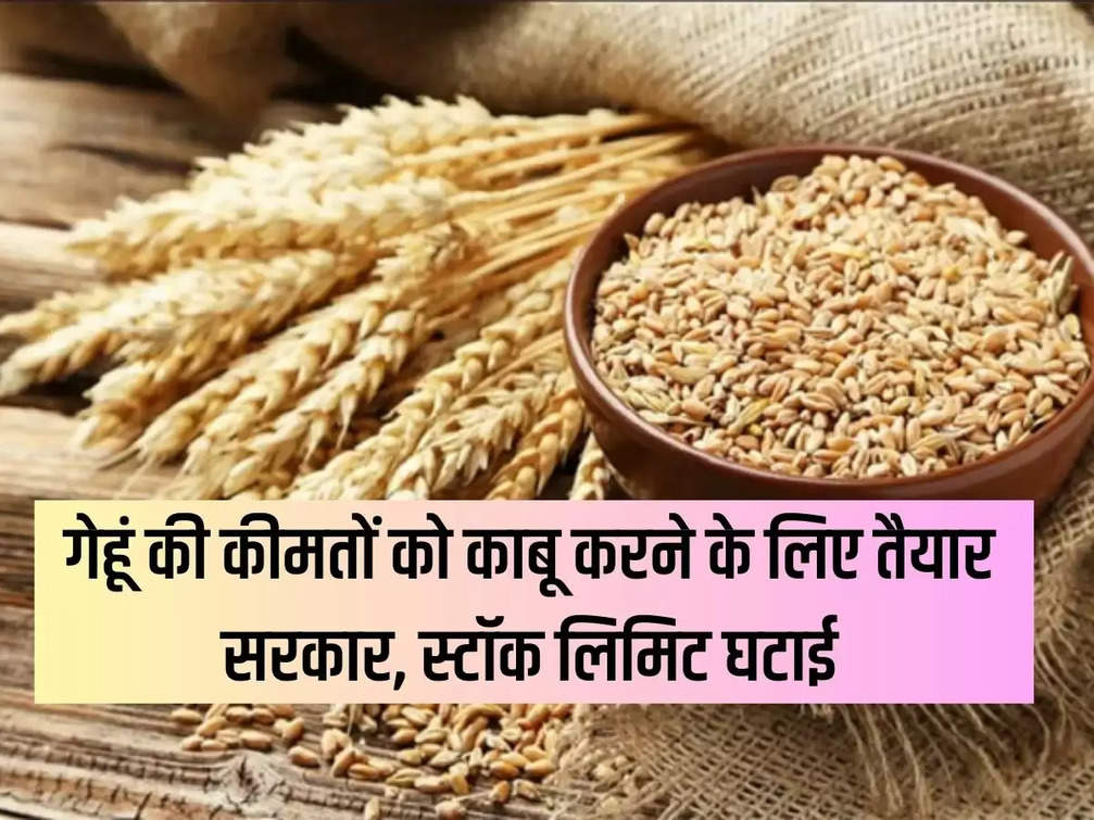Wheat Price: Government ready to control wheat prices, reduced stock limit