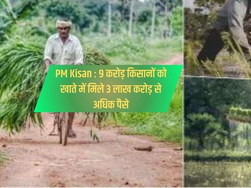 PM Kisan : 9 करोड़ किसानों को खाते में मिले 3 लाख करोड़ से अधिक पैसे 