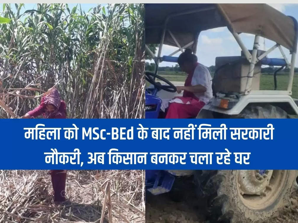 Woman did not get government job after MSc-BEd, now running her household as a farmer