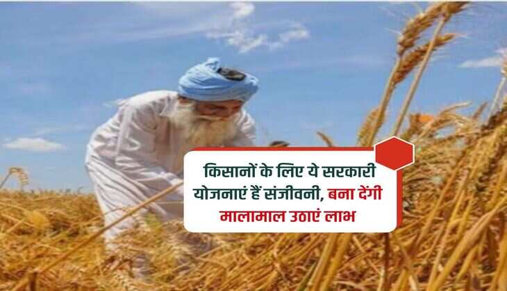 Government Scheme : किसानों के लिए ये सरकारी योजनाएं हैं संजीवनी, बना देंगी मालामाल उठाएं लाभ