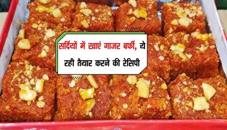 Gajar Barfi Recipe: सर्दियों में खाएं गाजर बर्फी, ये रही तैयार करने की रेसिपी