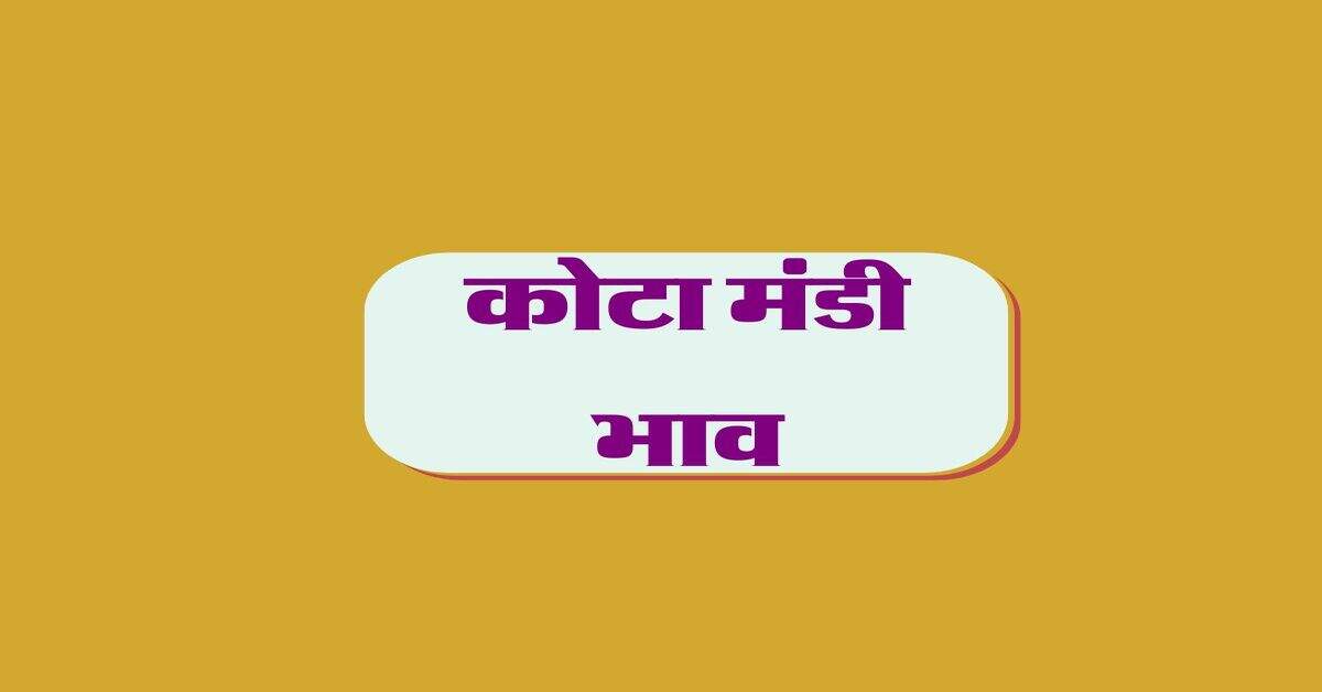 कोटा मंडी भाव 06 अगस्त 2024 : सोयाबीन, चना और सरसों में आई तेजी, लहसुन के दाम भी बढ़े