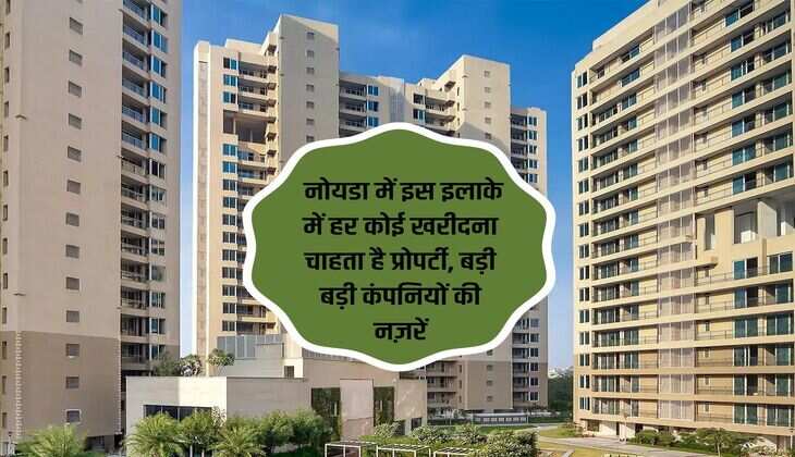 Noida Property : नोयडा में इस इलाके में हर कोई खरीदना चाहता है प्रोपर्टी, बड़ी बड़ी कंपनियों की नज़रें