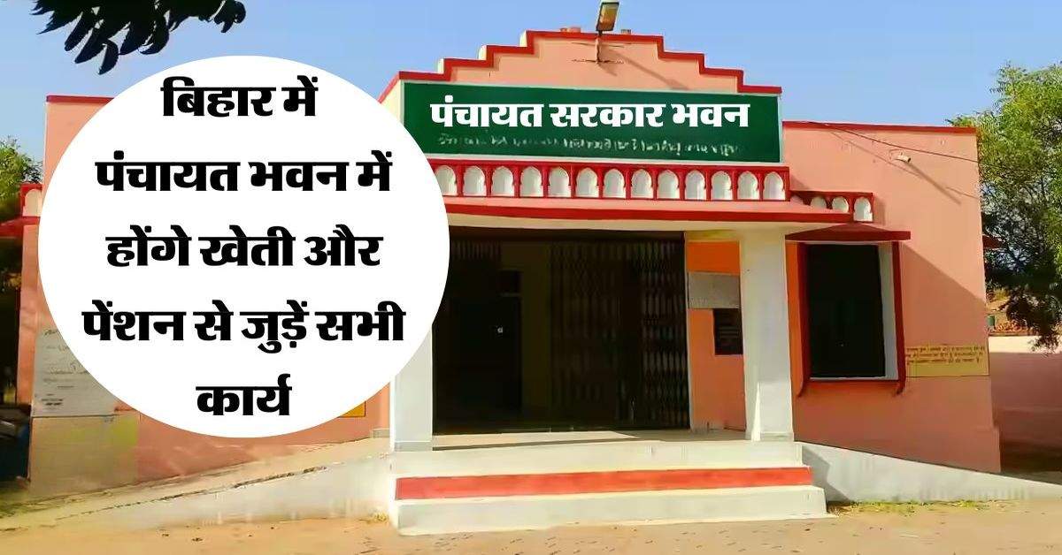 Bihar News: पंचायत भवन में होंगे खेती और पेंशन से जुड़ें सभी कार्य, ग्रामीणों और किसानों को फायदा