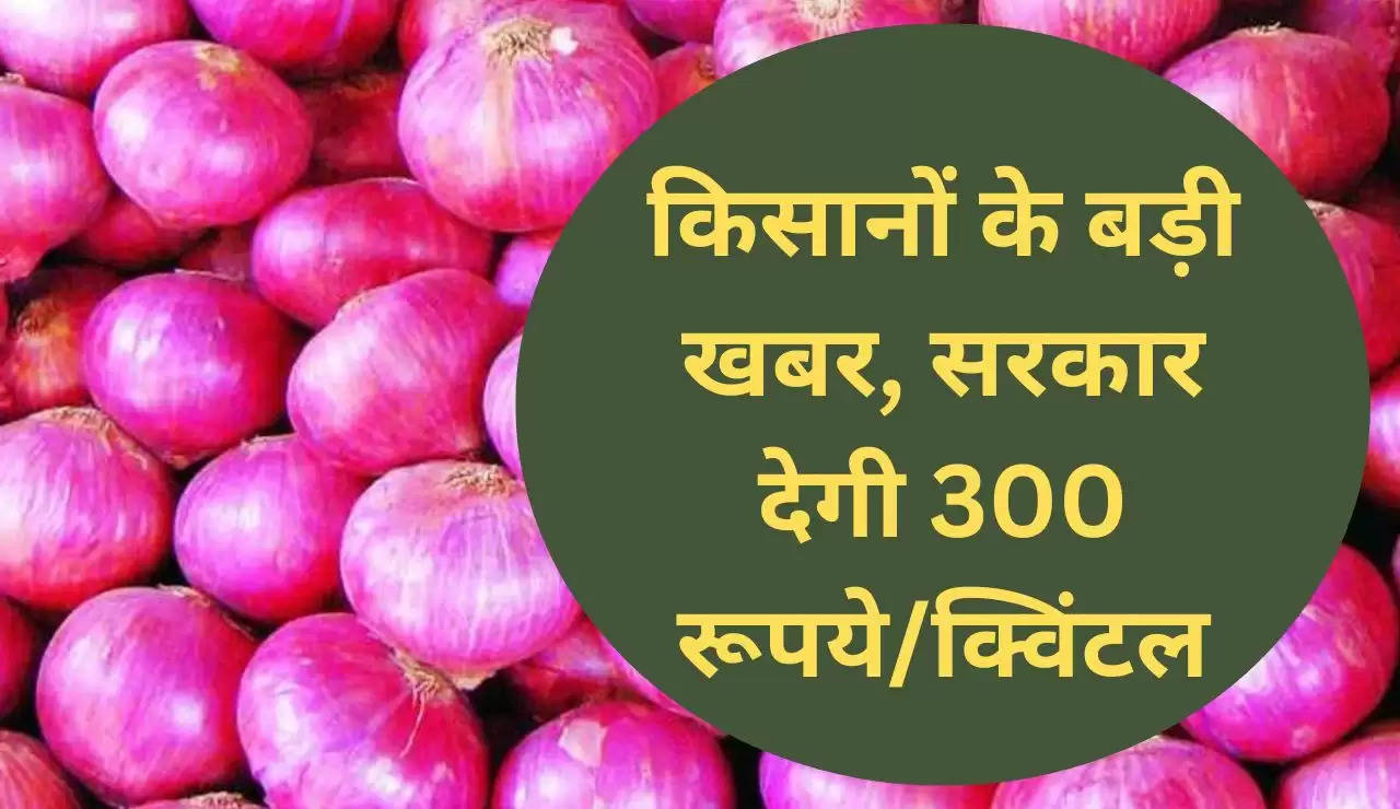 किसानों के बड़ी खबर, सरकार देगी 300 रूपये/क्विंटल