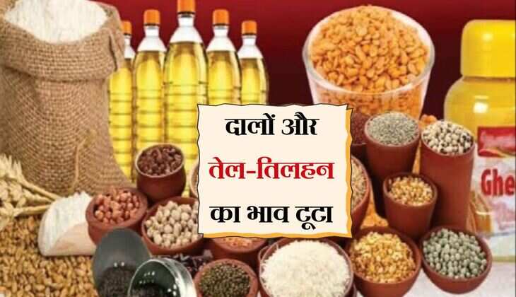 Mandi Bhav: दालों और तेल-तिलहन का भाव टूटा, वैश्विक आपूर्ति बढ़ी, स्थानीय मांग हुई कम