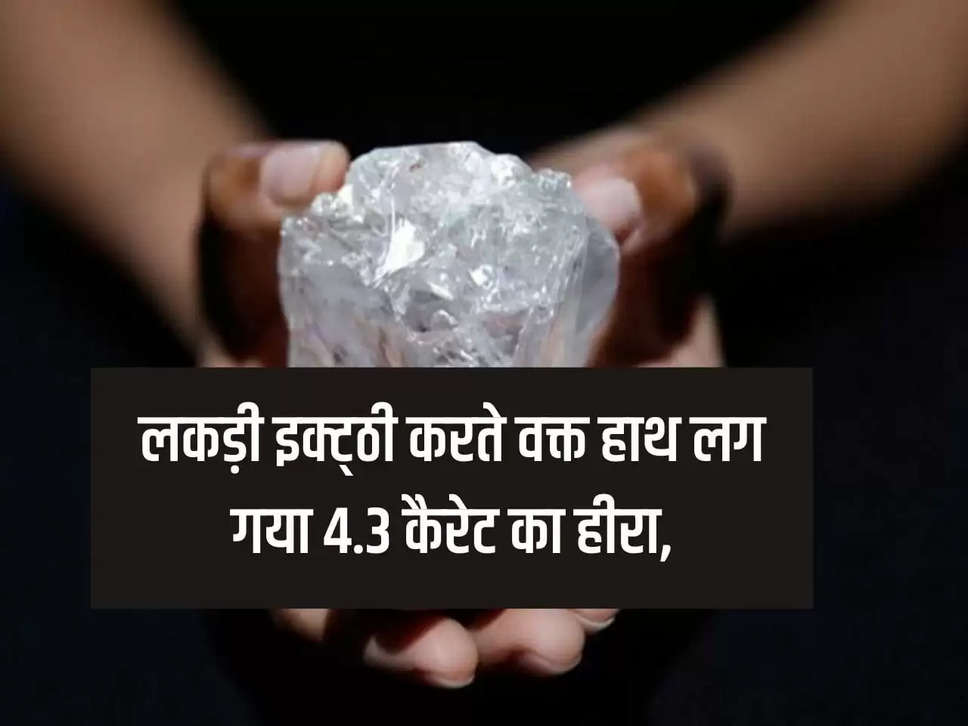 MP News: While collecting wood, she got hold of a 4.3 carat diamond, a woman became a millionaire in one go