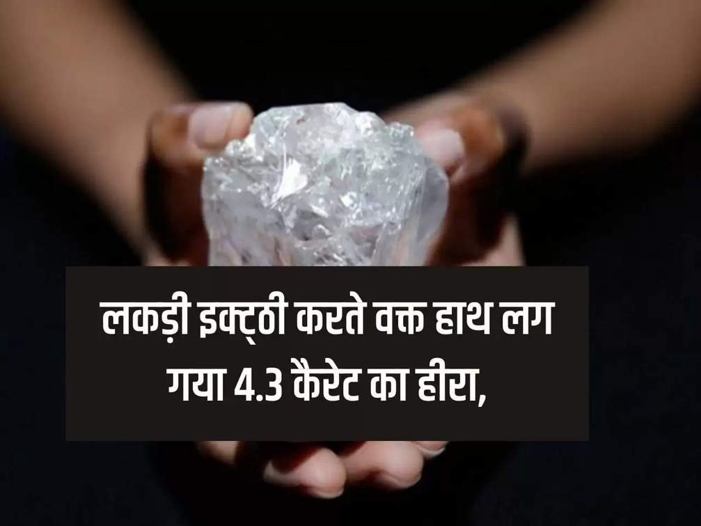 MP News: While collecting wood, she got hold of a 4.3 carat diamond, a woman became a millionaire in one go