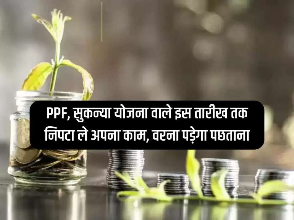 PPF, Sukanya Yojana should complete their work by this date, otherwise you will have to repent.