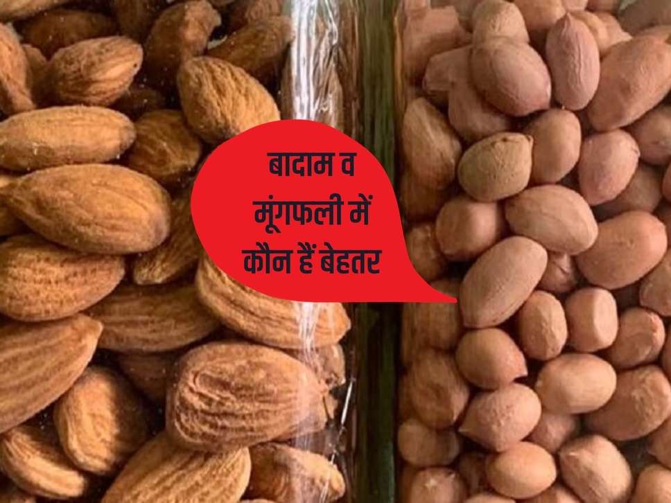 Are peanuts more beneficial than almonds, do not take them lightly, know which one is better.