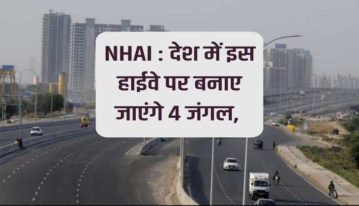  NHAI: 4 forests will be built on this highway in the country,