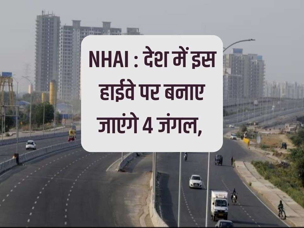  NHAI: 4 forests will be built on this highway in the country,