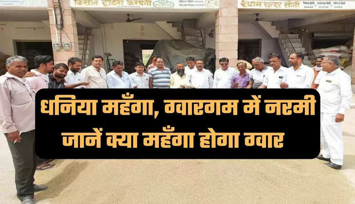 agriculture news, agriculture news in india, Mandi Rate, Spices"