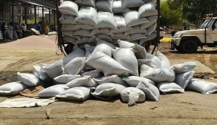 नोहर मंडी का भाव: सरसों के रेट हुए तेज, ग्वार, बाजरी, मोठ, अरण्डी, तारामीरा समेत कई फसल रेट स्थिर