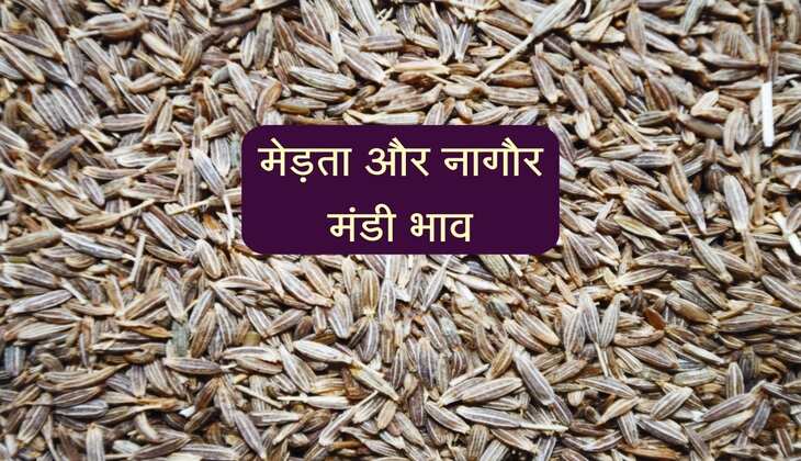 मेड़ता और नागौर मंडी में ग्वार, जीरा और इसबगोल के नए भाव जारी, देखें कृषि उपज रेट