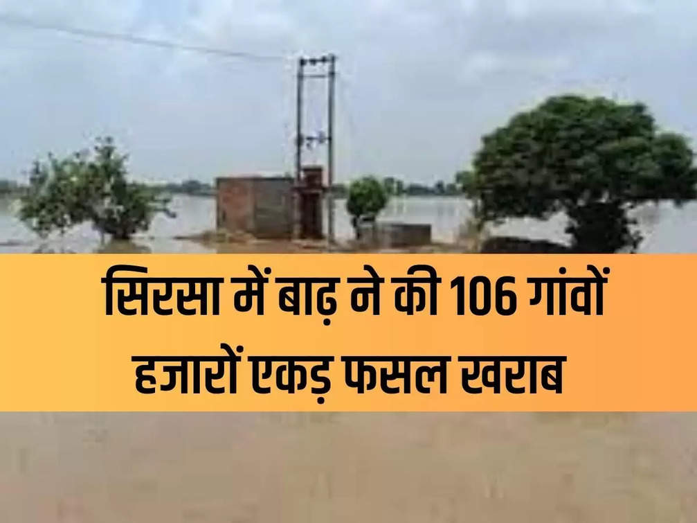 Flood in Sirsa damaged thousands of acres of crops in 106 villages.