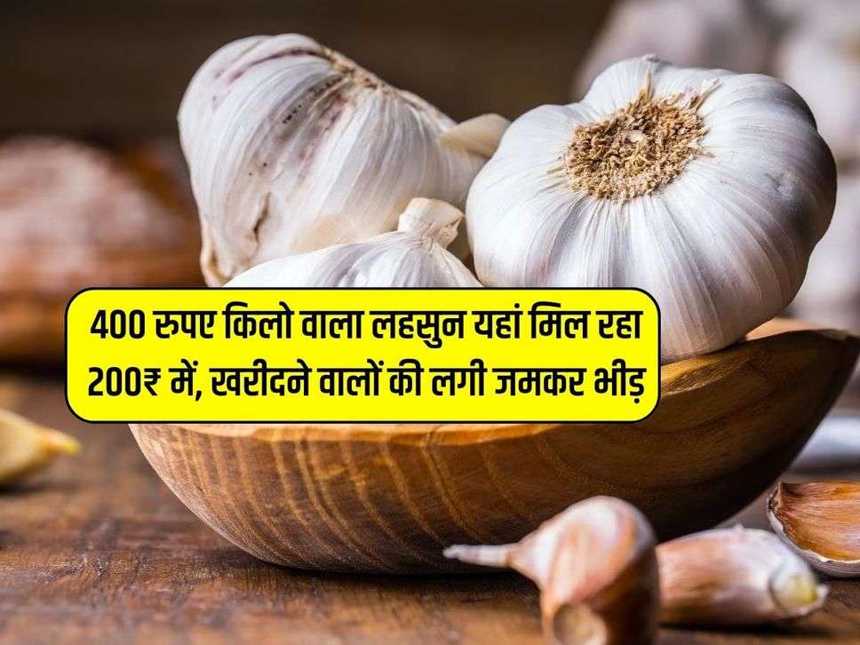 400 रुपए किलो वाला लहसुन यहां मिल रहा 200₹ में, खरीदने वालों की लगी जमकर भीड़