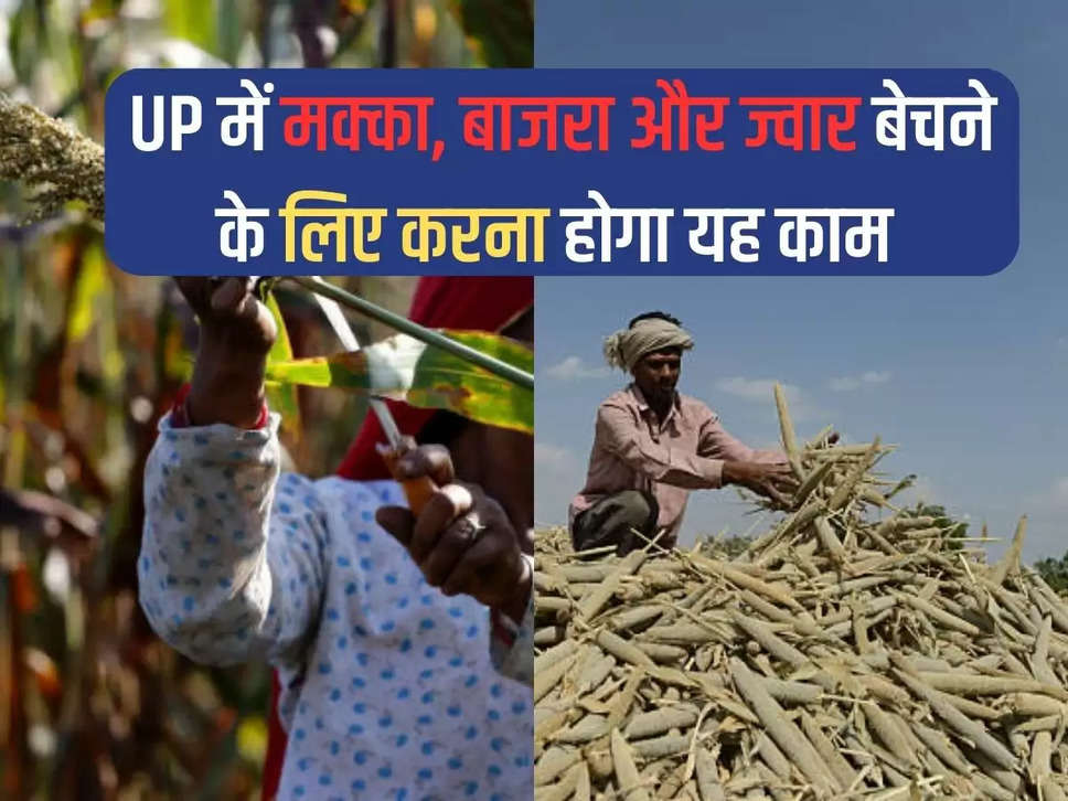 Good news for farmers in UP, registration will have to be done to sell maize, millet and jowar