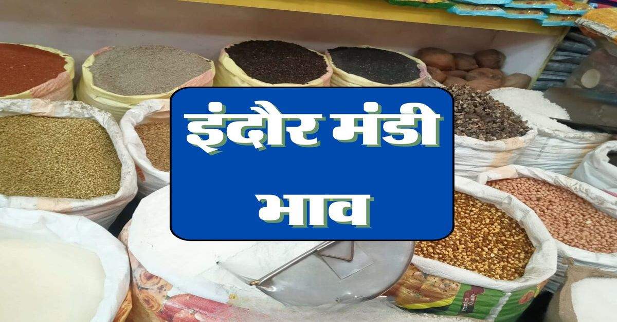 Indore Mandi Bhav: काबुली चना की कीमतों में गिरावट, चना कांटा मे तेजी 