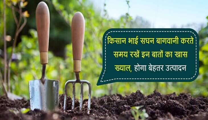 किसान भाई सघन बागवानी करते समय रखें इन बातों का खास ख्याल, होगा बेहतर उत्पादन