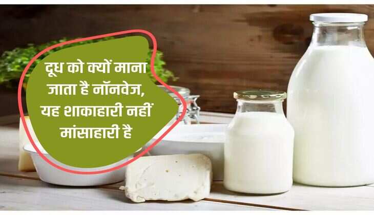 Why milk is considered non-veg, it is not vegetarian but non-vegetarian.