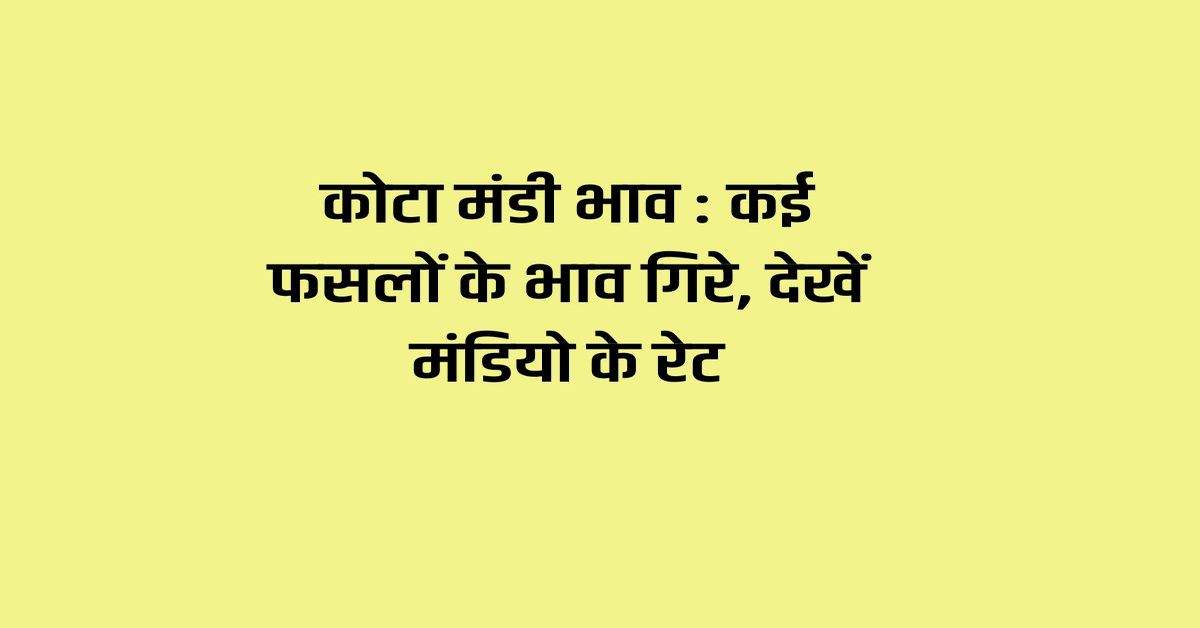 कोटा मंडी भाव 2 फरवरी 2024: कई फसलों के भाव गिरे, देखें मंडियो के रेट