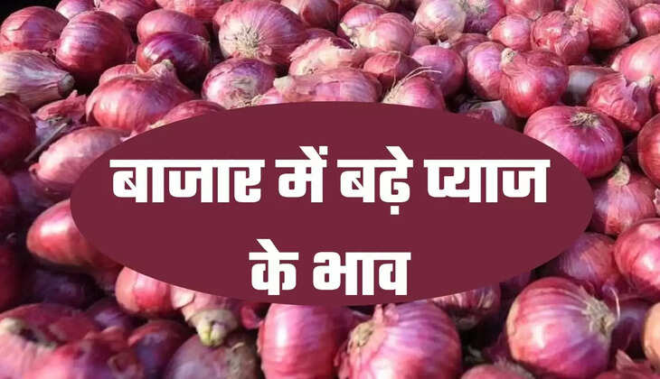 बाजार में बढ़े प्याज के भाव
