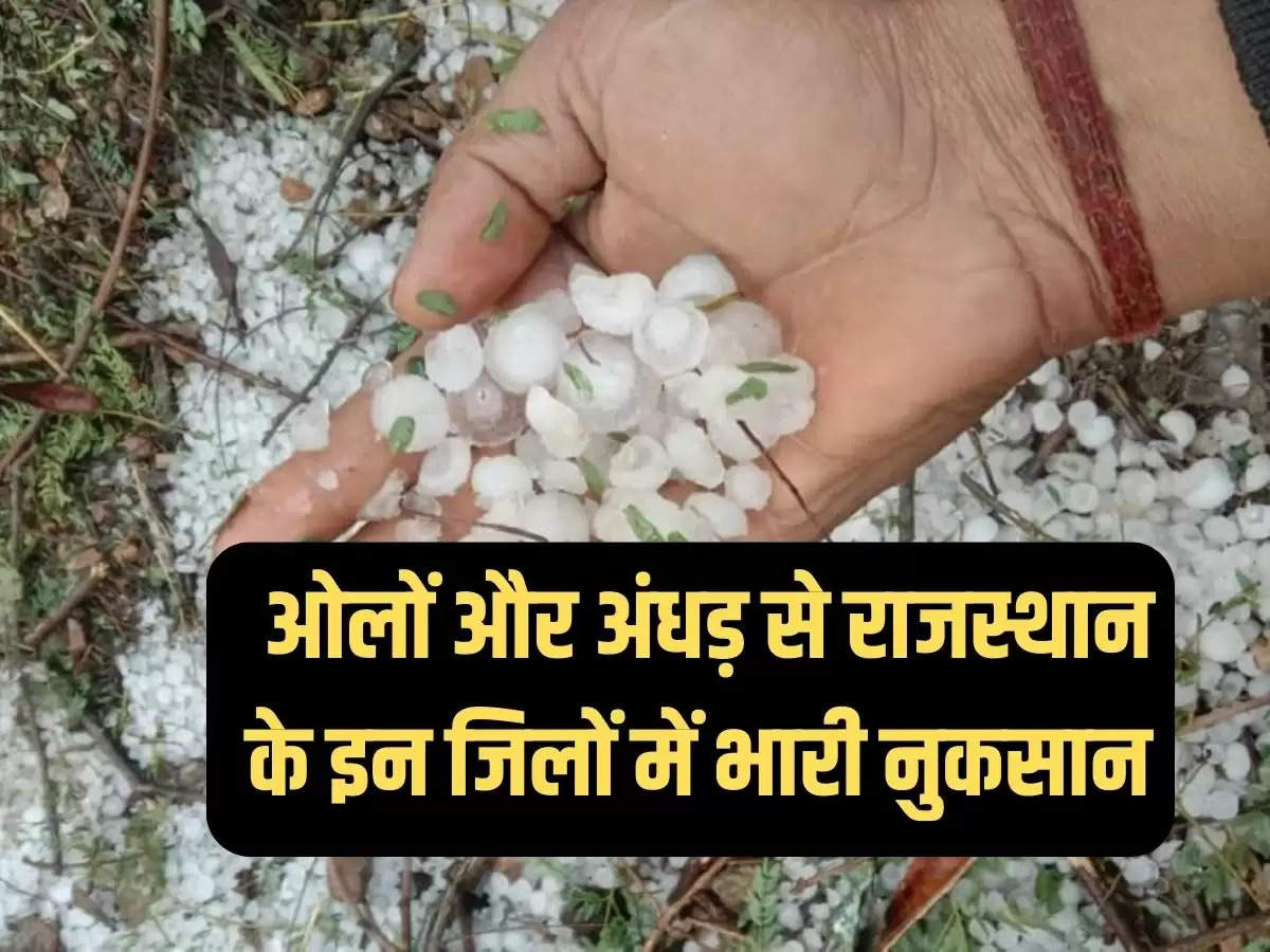 "Hailstorm, Thunderstorm, weather alert, nautapa, rajasthan weather report, rajasthan weather update, rajasthan weather today, heatwave of rajasthan, nautapa, heatwave of rajasthan, havoc from rain-storm, how many people died from storm, people and animal died in yesterday&#x27;s rain, weather alert,  Hailstorm, nautapa, rajasthan weather report, rajasthan weather today, rajasthan weather update, Thunderstorm, weather alert | Jaipur News |  News