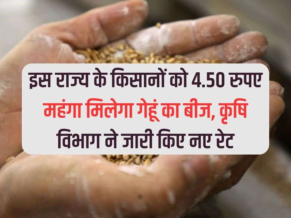 Farmers of this state will get wheat seeds costlier by Rs 4.50, Agriculture Department has released new rates.