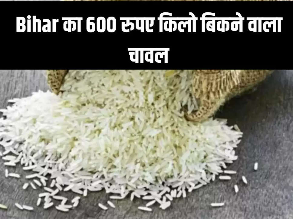 Bihar का 600 रुपए किलो बिकने वाला चावल