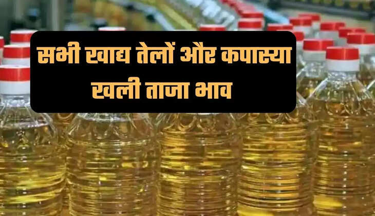 Edible Oil Price in Indore, Cooking Oil Rate Indore, Cooking Oil price Indore, Moongfali Oil Price Indore, Oil Rates in Indore, Soybean Oil Price Indore, Soybean Oil, Palm Oil rate, Mustard Oil in Indore, Sarso Oil Price Indore, Groundnut oil Price Indore, Cooking Oil Price in Indore, Edible oil price Indore, Indore Market Oil Price, Indore News, इंदौर में तेज की कीमत, इंदौर में खाने के तेल की कीमत, इंदौर समाचार, मध्य प्रदेश समाचार,indore, madhya-pradesh, hindi news,
