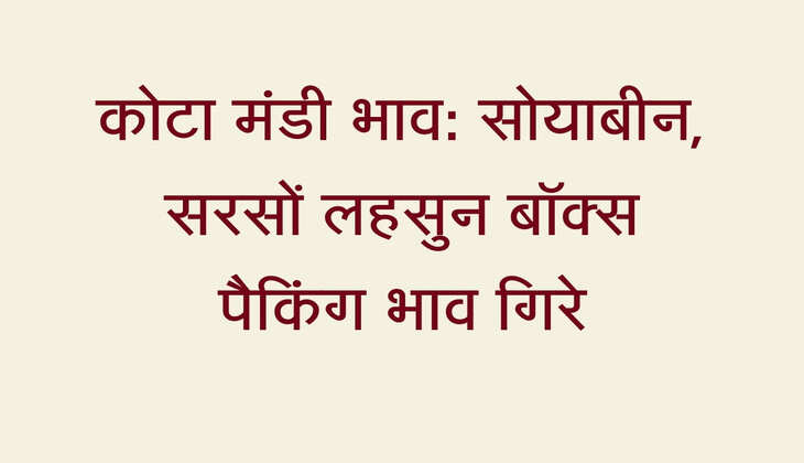 कोटा मंडी भाव 29 अगस्त: सोयाबीन, सरसों लहसुन बॉक्स पैकिंग भाव गिरे, गेहूं और चना बिके मंदे