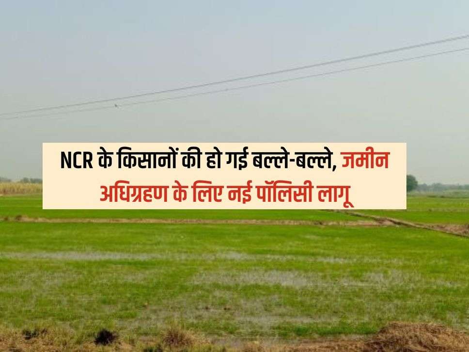 NCR के किसानों की हो गई बल्ले-बल्ले, जमीन अधिग्रहण के लिए नई पॉलिसी लागू