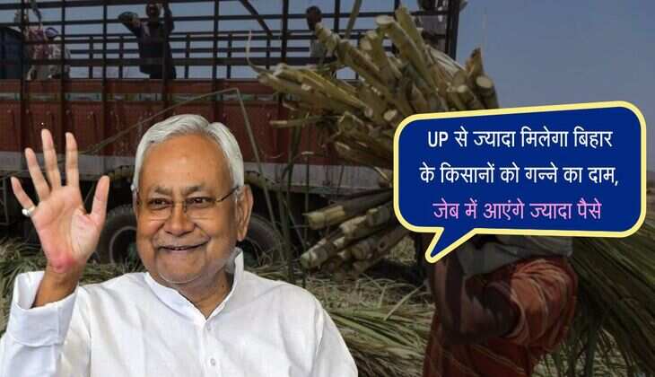 UP से ज्यादा मिलेगा बिहार के किसानों को गन्ने का दाम, जेब में आएंगे ज्यादा पैसे 