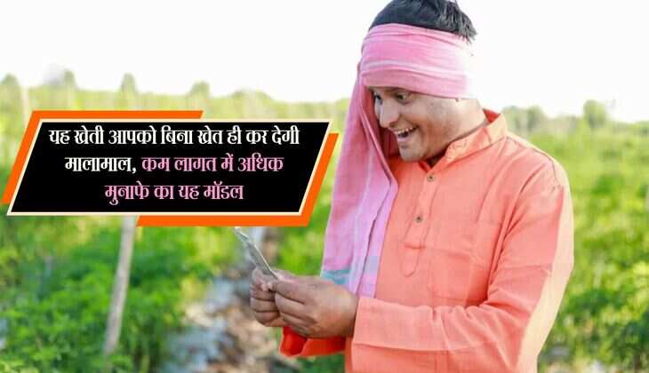 Kisan Samachar: यह खेती आपको बिना खेत ही कर देगी मालामाल, कम लागत में अधिक मुनाफे का यह मॉडल