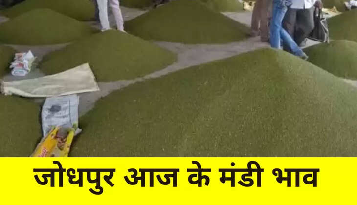 Jodhpur mandi bhav 1 February 2022