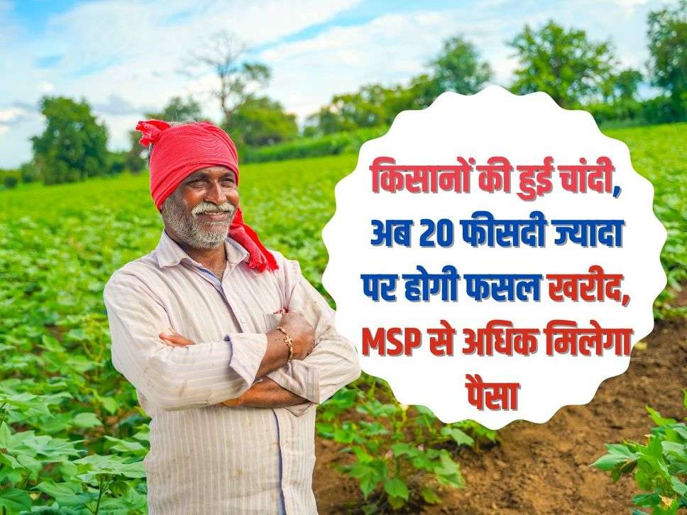 Agriculture News: किसानों की हुई चांदी, अब 20 फीसदी ज्यादा पर होगी फसल खरीद, MSP से अधिक मिलेगा पैसा 