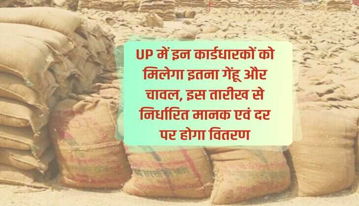 UP में इन कार्डधारकों को मिलेगा इतना गेंहू और चावल, इस तारीख से निर्धारित मानक एवं दर पर होगा वितरण