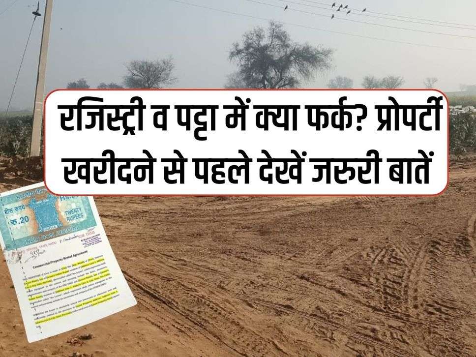 Property Knowledge: रजिस्ट्री व पट्टा में क्या फर्क? प्रोपर्टी खरीदने से पहले देखें जरुरी बातें