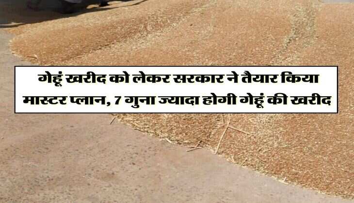 Wheat purchase: गेहूं खरीद को लेकर सरकार ने तैयार किया मास्टर प्लान, 7 गुना ज्यादा होगी गेहूं की खरीद